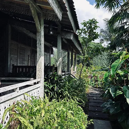 Umah Kayu Guest House