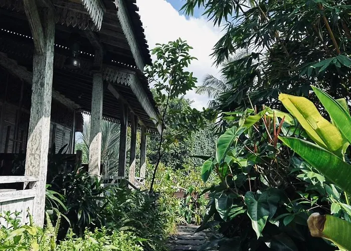 Umah Kayu Ubud
